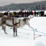 Bilder från Jokkmokk