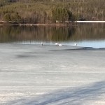 Bilder från Jokkmokk